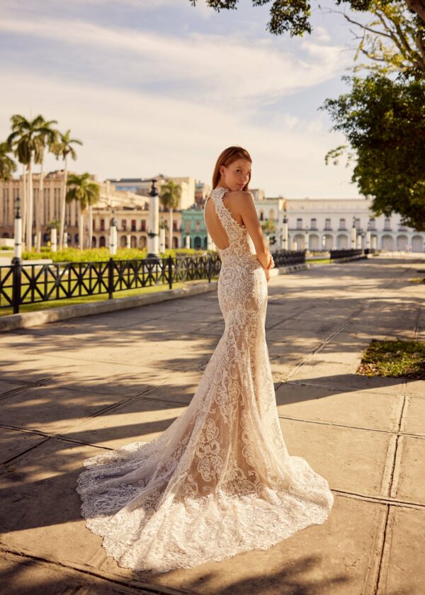 Linden – Image 2